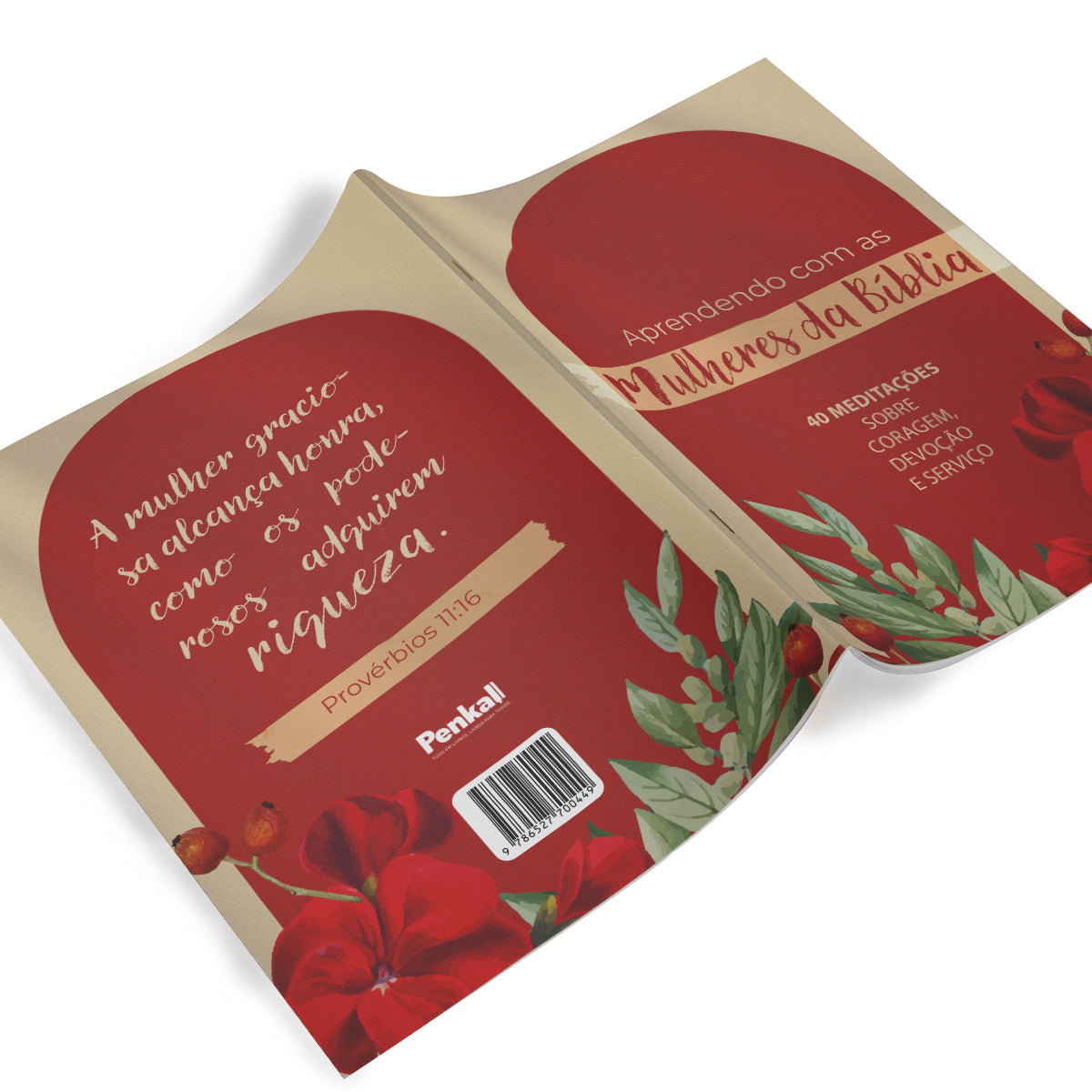 Livreto Lições de Fé das Mulheres da Bíblia